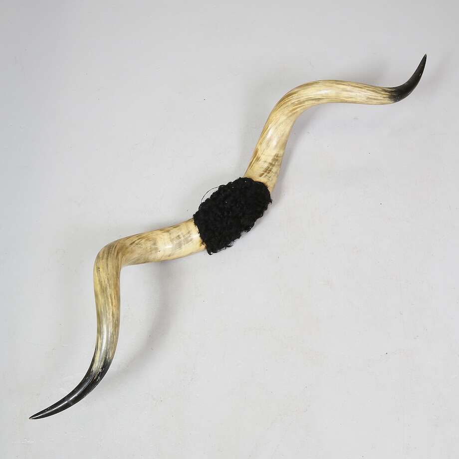 Buffelhorn