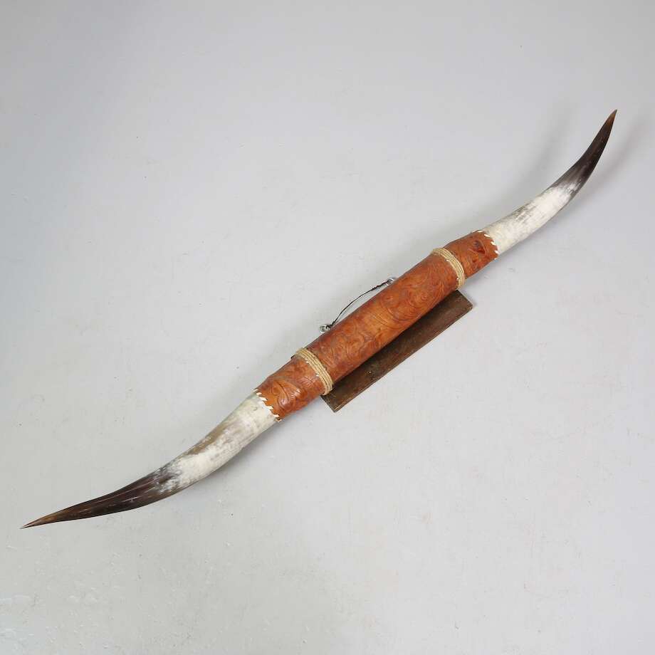 Buffelhorn
