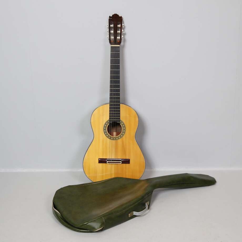 Gitarr Ibanez