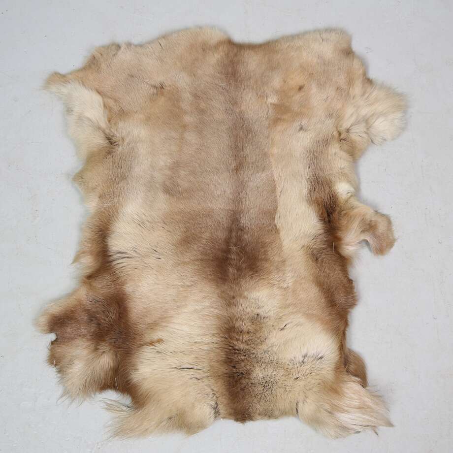 Djurhud